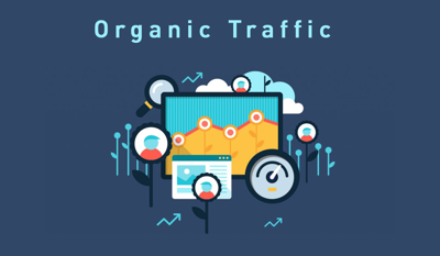 Guide to using the Live Traffic
